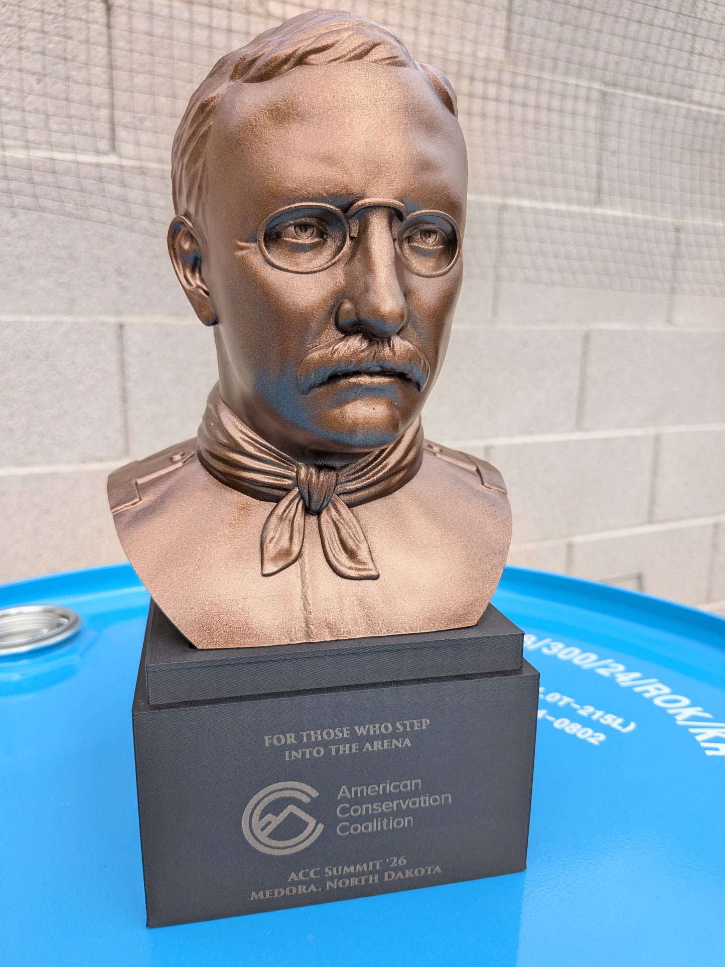 Teddy Roosevelt Bust